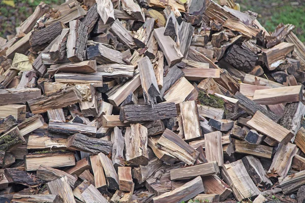 Natural background with huge pile of firewoods — Stock Photo, Image