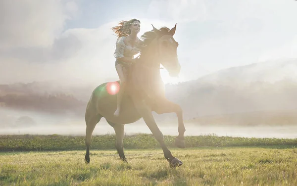 Retrato de uma mulher atraente em um cavalo majestoso — Fotografia de Stock