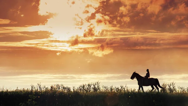 Imagem panorâmica de uma jovem montando um cavalo no prado Imagens Royalty-Free