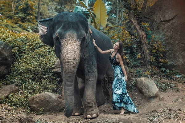 Oldukça genç bayan bir fil sarılma — Stok fotoğraf