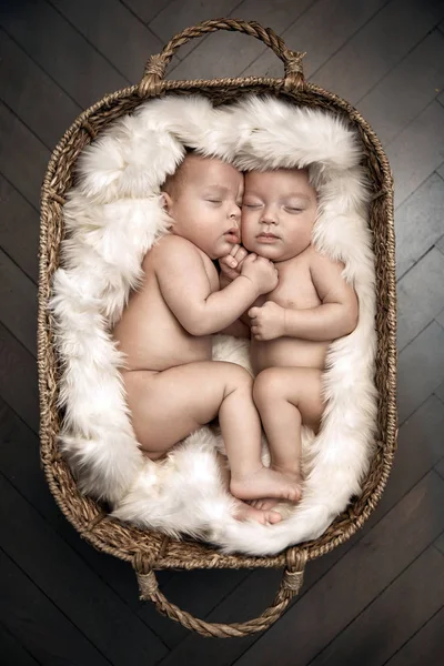 Retrato de dois recém-nascidos bonitos na cesta — Fotografia de Stock