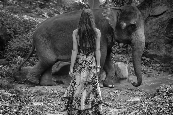 Black&white portrait of an alluring elephant tamer — Stock Photo, Image