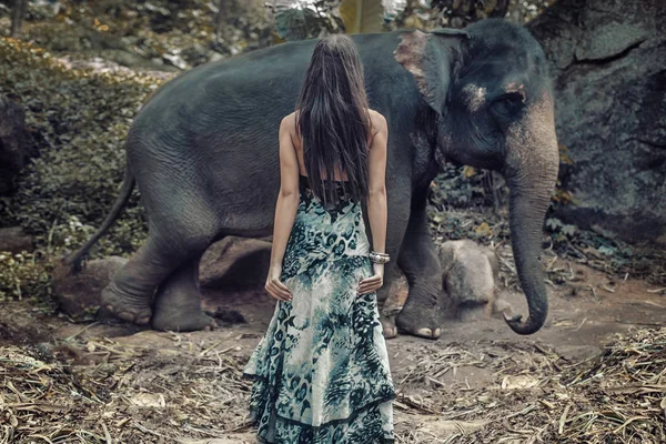 Morena mulher olhando para o elefante selvagem — Fotografia de Stock