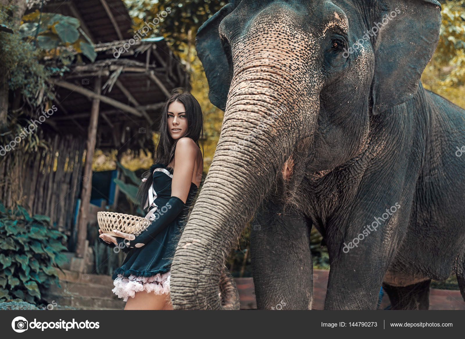 elephant-trainer-head-in-butt-video