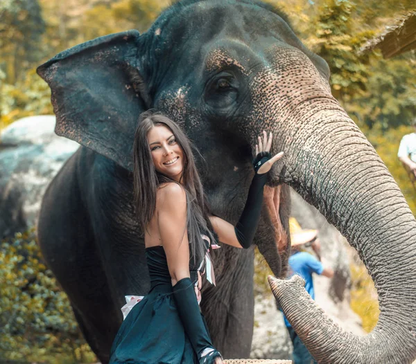 코끼리와 함께 웃는 트레이너의 초상화 — 스톡 사진
