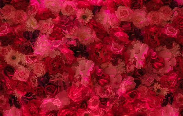 Image of a flower wall — Stock Photo, Image