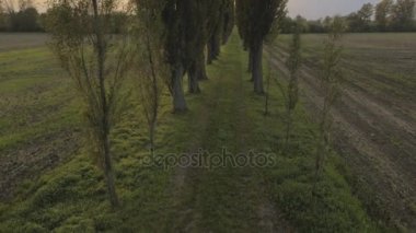 Hamile kadın bir yaz çayır üzerinde rahatlatıcı