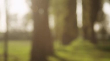 Güzel Bayan yaz havanın tadını