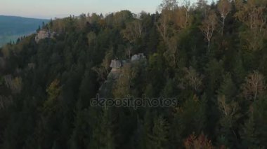 Doğaya yakın yakışıklı işadamı