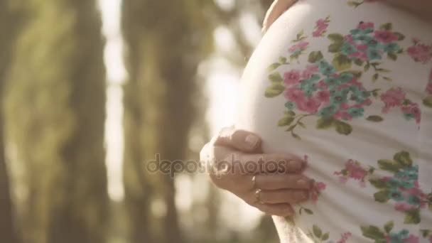 Femme enceinte se détendre sur une prairie — Video