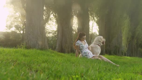 Όμορφη γυναίκα με ένα χαλαρώνοντας σε ένα λιβάδι σκύλος — Αρχείο Βίντεο