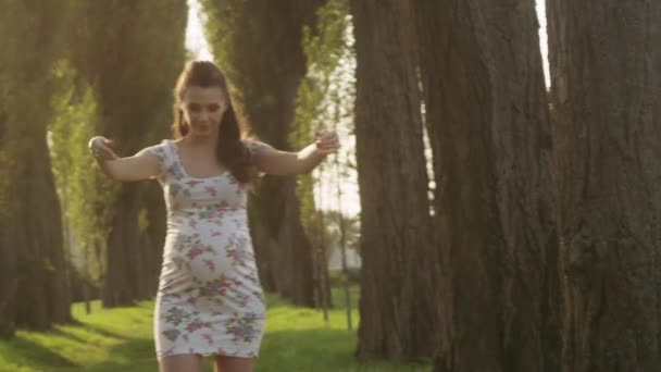 Mujer embarazada disfrutando de un clima de verano - prado fresco . — Vídeos de Stock