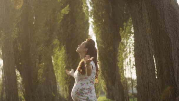 Gravid kvinna njuter en sommarväder - färska äng. — Stockvideo