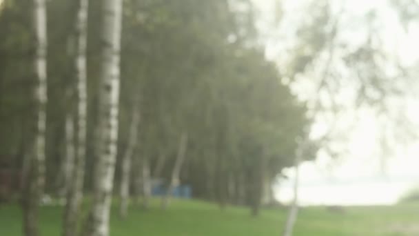 Attractive young bride among trees — Stock Video