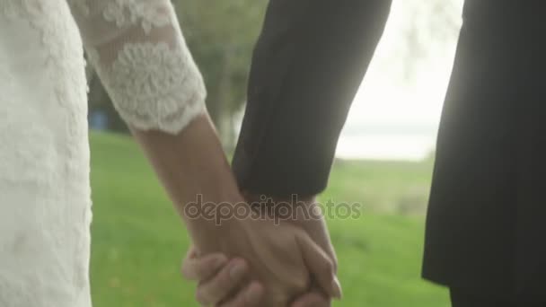 Glückliches Brautpaar in den Flitterwochen nahe der Natur — Stockvideo