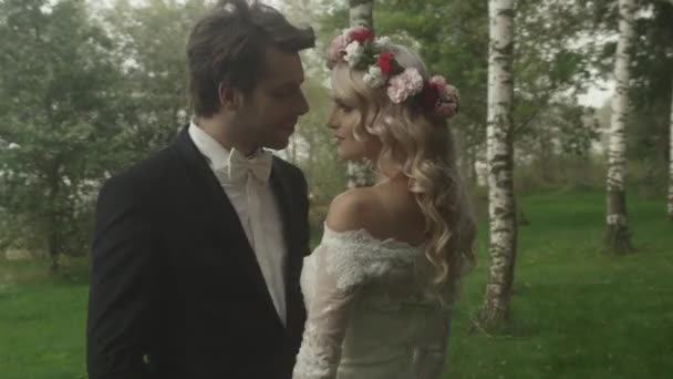 Feliz recém-casados na lua de mel perto da natureza — Vídeo de Stock