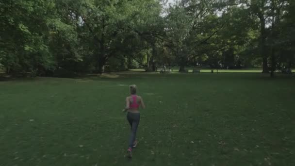 Vältränad, ung kvinna stretching i parken sommaren — Stockvideo