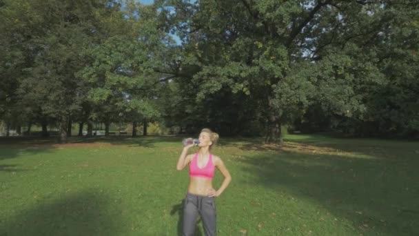 Fit, jonge vrouw, die zich uitstrekt in het park van de zomer — Stockvideo