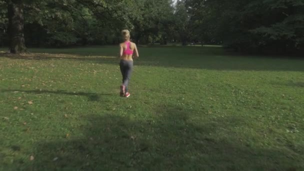 Ajuste, mujer joven estirándose en el parque de verano — Vídeo de stock
