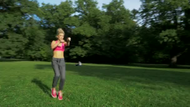 Fit, jonge vrouw, die zich uitstrekt in het park van de zomer — Stockvideo