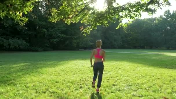 Fit vrouw doen van fysieke oefeningen — Stockvideo