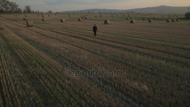 Schöner Geschäftsmann nah an der Natur — Stockvideo