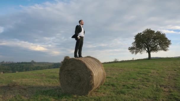 Bonito homem de negócios perto da natureza — Vídeo de Stock