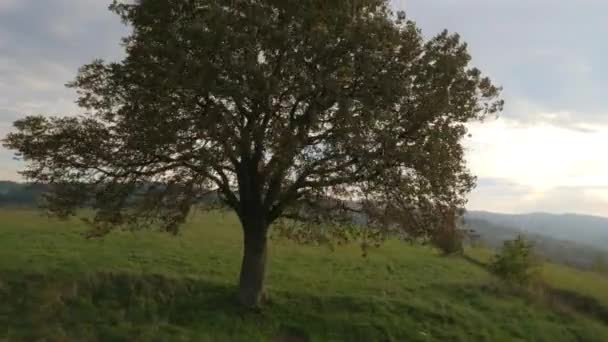 Vue aérienne d'un paysage estival — Video