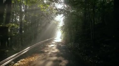 Büyük orman, yaz peyzaj bir kırsal