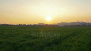 Bir yaz manzara havadan görünümü