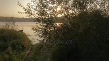 Bir yaz manzara havadan görünümü