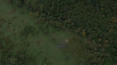 Bir yaz manzara havadan görünümü