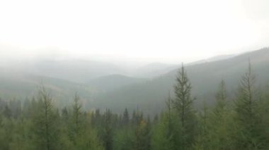 Bir yaz manzara havadan görünümü