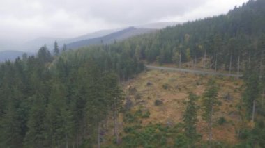 Bir yaz manzara havadan görünümü