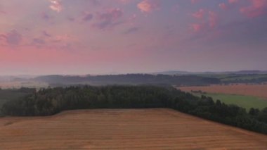 Bir güzel buğday alanının havadan görünümü