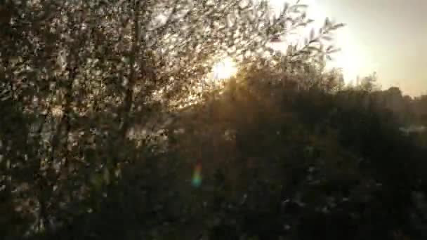 Vue aérienne d'un paysage estival 