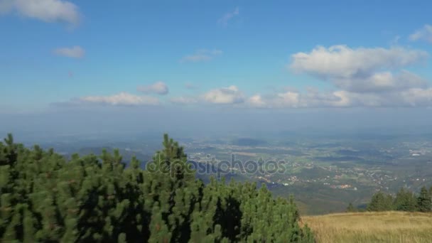 Vue aérienne d'un paysage estival 