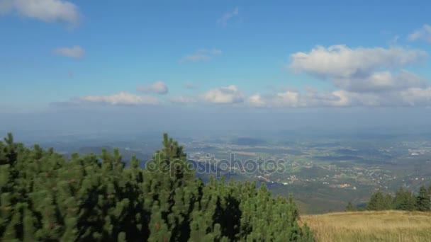 Letecký pohled na letní krajina — Stock video