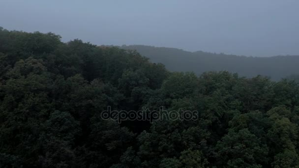 Aerial view of a summer landscape — Stock Video