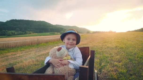 Мальчик Пшеничном Поле — стоковое видео