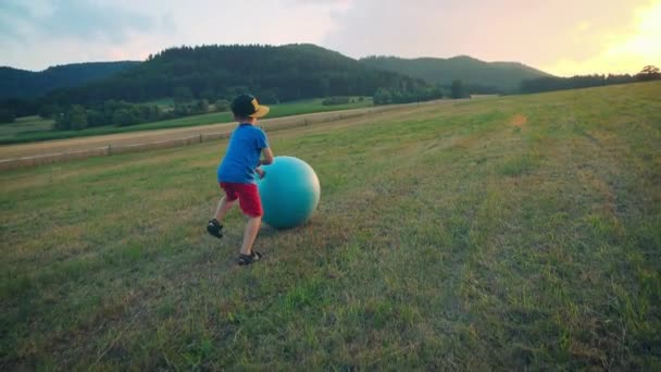 Little Boy Playing Meadow — Stock Video