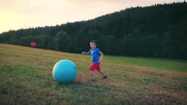 Menino Brincando Prado — Vídeo de Stock