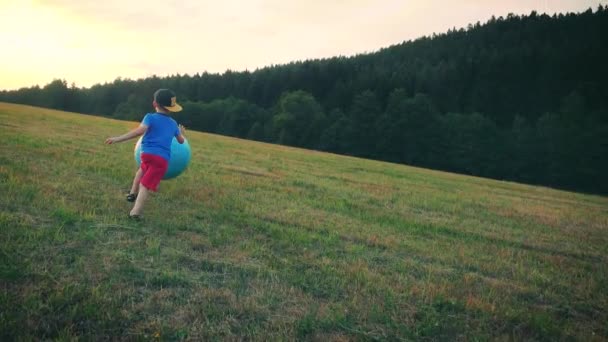 Little Boy Playing Meadow — Stock Video