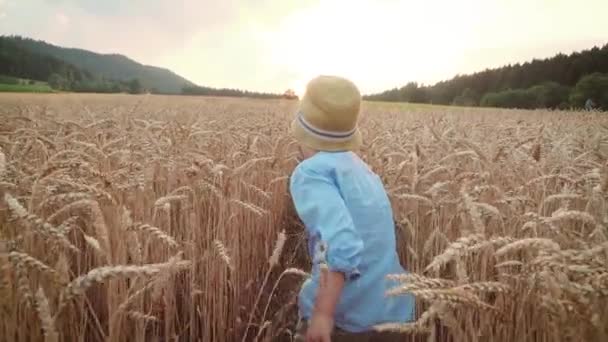 Kleiner Junge Auf Dem Weizenfeld — Stockvideo