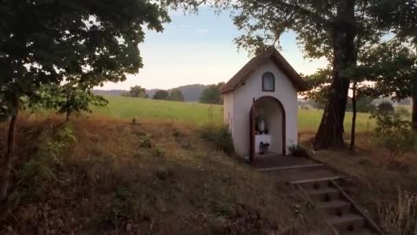 Veduta Aerea Bellissimo Campo Grano — Video Stock