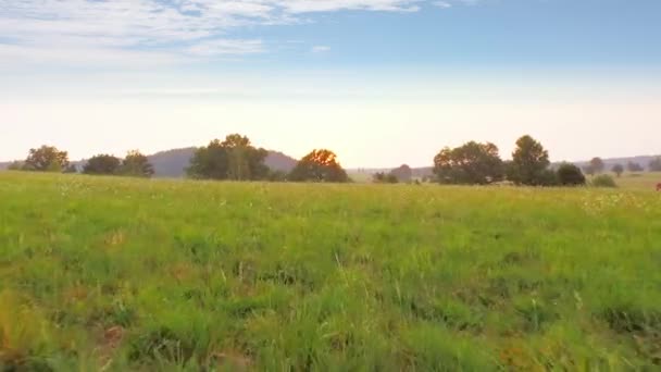 Schöne Landschaft Luftaufnahme — Stockvideo