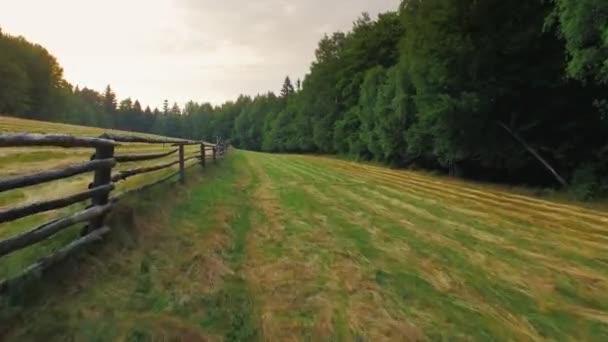 Hermoso Campo Vista Aérea — Vídeo de stock