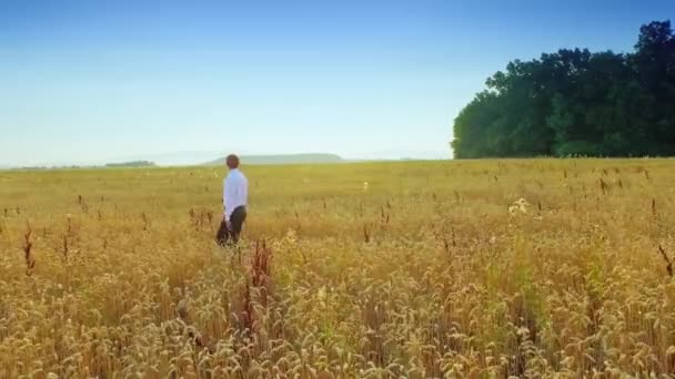 Empresário Campo Trigo — Vídeo de Stock