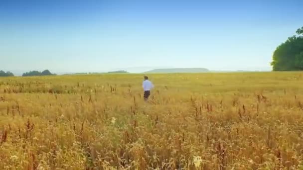 Geschäftsmann Einem Weizenfeld — Stockvideo