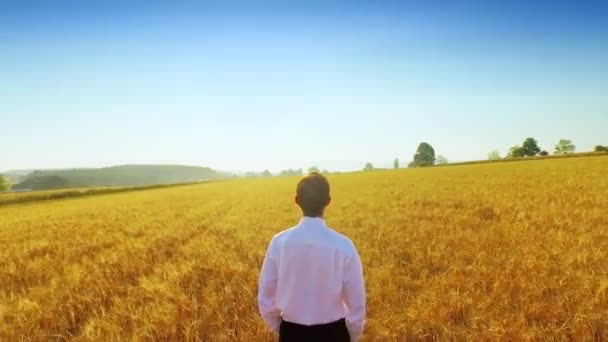 Бизнесмен Пшеничном Поле — стоковое видео